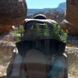 23_CLT_Gents_Trek_2024_original